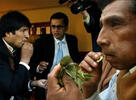 Bolivia saluda proceso de la ONU para despenalizar el masticado de la coca