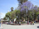 Festividad de Urkupiña: 600 personas limpian Quillacollo