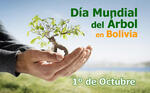 Día del Árbol en Bolivia: Sucre prevé sembrar 18.000 plantines