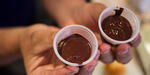 Crean chocolate de coca sin azúcar