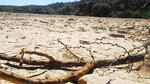 Sequía en Bolivia afecta a 132.000 familias productoras