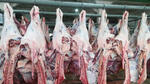 Feria de la carne en El Alto se realizará del 25 al 27 de noviembre