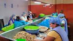 Trabajadoras bolivianas tienen asueto de mediodía por el Día de la Mujer