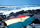 Reivindicación marítima de Bolivia, el texto aprobado por la OEA en 1979