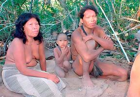 Los Ayoreos