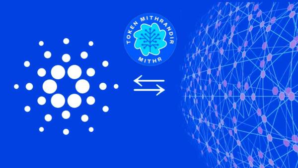 Conozcamos al Ecosistema de Cardano dentro de la tecnología de blockchain