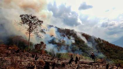 Bomberos controlan el 70% del incendio forestal en Parque Nacional Cotapata