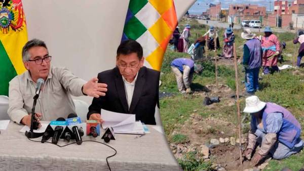 Lanzan programa de reforestación “Pulmones Verdes”, en El Alto se plantarán 5 mil árboles