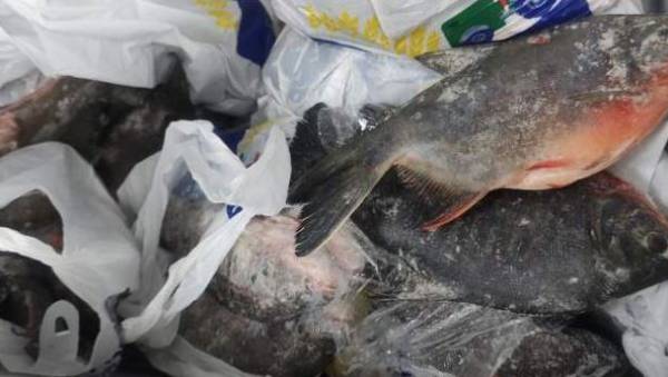 EMAPA y su oferta de pescados frescos en Semana Santa