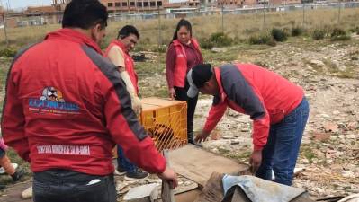 Rescatan a tres cachorros y una perra de la avenida Pucarani