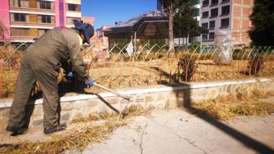 Alcaldía hace mantenimiento de plazas y jardineras en los 14 distritos de El Alto 