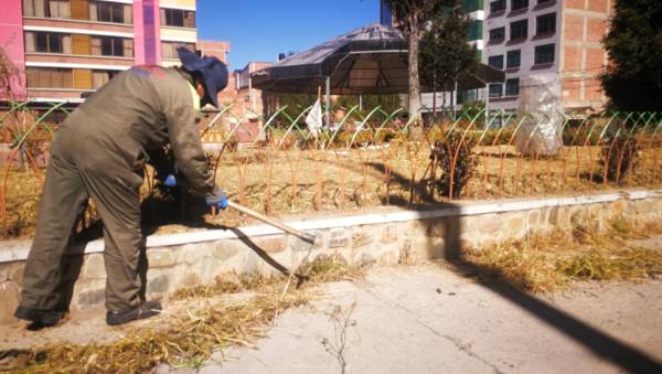 Alcaldía hace mantenimiento de plazas y jardineras en los 14 distritos de El Alto 