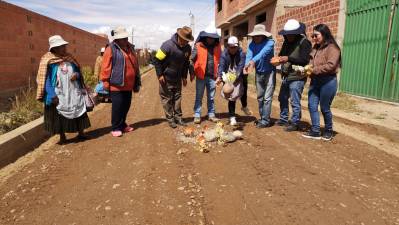 Inician obras viales de enlosetado que mejorarán la calidad de vida de seis urbanizaciones del Distrito 4