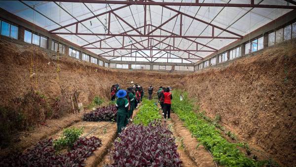 UMSA enseñará a cultivar alimentos en casa como respuesta a los desafíos de las ciudades