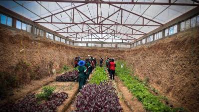 UMSA enseñará a cultivar alimentos en casa como respuesta a los desafíos de las ciudades